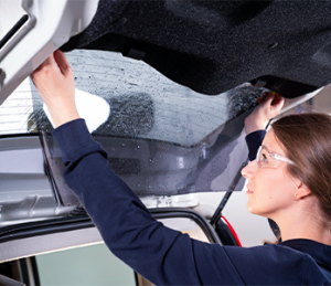 Immagine servizio Oscuramento vetri